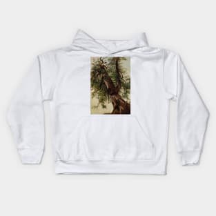 Study of a Cedar by David Johnson Kids Hoodie